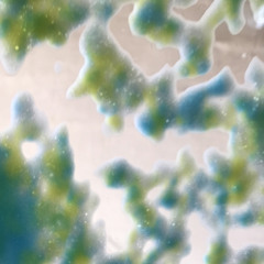 revel (disquiet0647)