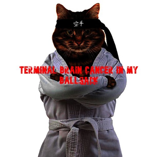 Terminal Cancer In My Ballsack