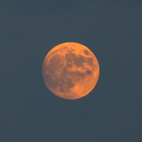 talkin-to-the-moon (prod. jorko)