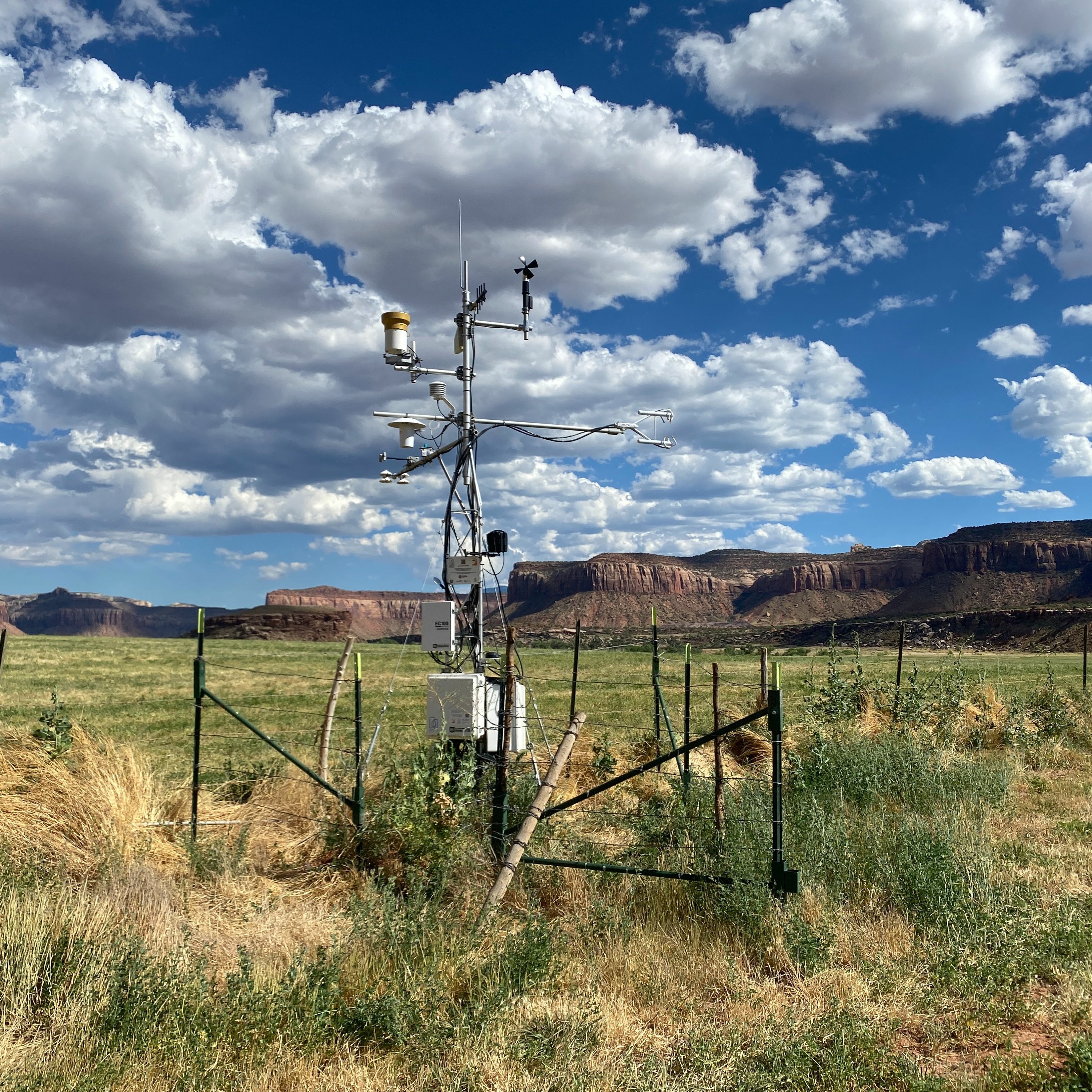 How much water do alfalfa farms lose to evaporation? Plus the Weekly News Reel! episode artwork