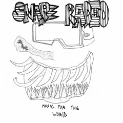 snareradio#4