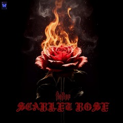 Scarlet Rose