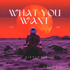 vietlouis - What You Want ( Ogirinal Mix )