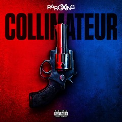 1PLIKE140 feat La Rvfleuse - COLLIMATEUR