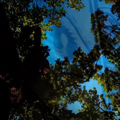 And if I(prod.dreamsyxx)