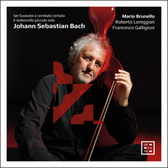 Sonata No. 3 in E Major BWV 1016: III. Adagio ma non tanto (Transcription for violoncello piccolo and continuo)