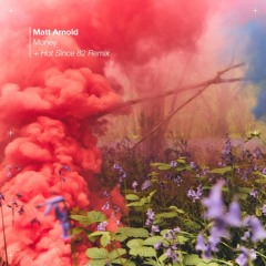 Matt Arnold - Money - Hot Since 82 Remix