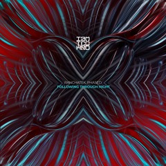 Following Through Night (Original Mix)