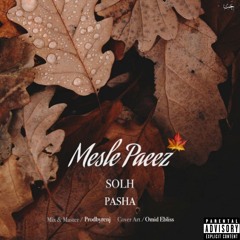 Mesle Paeez ft (Solh)