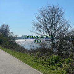 LEKTERN 016