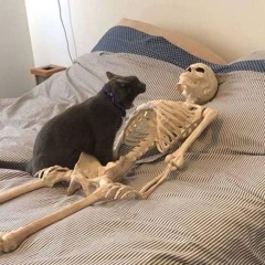 【Nekomura Iroha 猫村いろはSV2】イージーデンス Easy Dance【カバー】