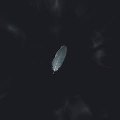 Shadows Where You Were.mp3