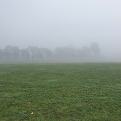The Fog