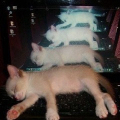 feels (prod. aotb x bleed)