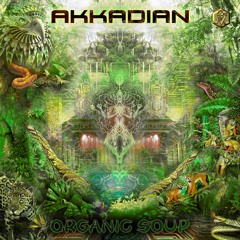 04 - Akkma - Dark Shadow (Akkadian Remix)149