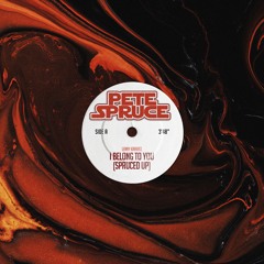 Lenny Kravitz - I Belong To You (Spruced Up) [FREE DOWNLOAD]