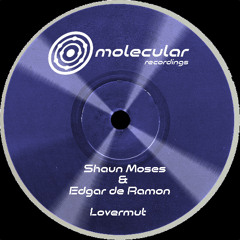 Premiere: Shaun Moses & Edgar de Ramon "The Amposta Diaries" - Molecular Recordings