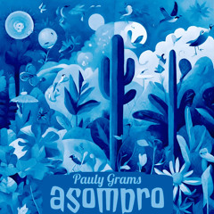 asombro - VIP Mix