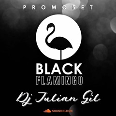 Black Flamingo - Dj Julian Gil