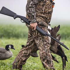 E351 - Innovation, Drive, and Perfecting Gear Performance - The Banded Hour