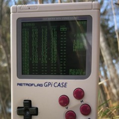 DritGlad (Game Boy-Version)  (video in description)