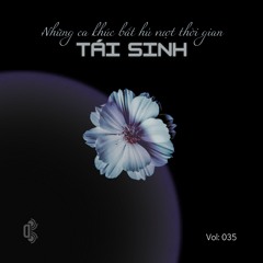 Mixtape Vina House ( Vol: 035 ) - Tái Sinh