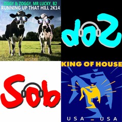 Ziggy & Zoggy · Mr Lucky · B2 - Running Up That Hill 2K14 vs King of House - Usa Usa