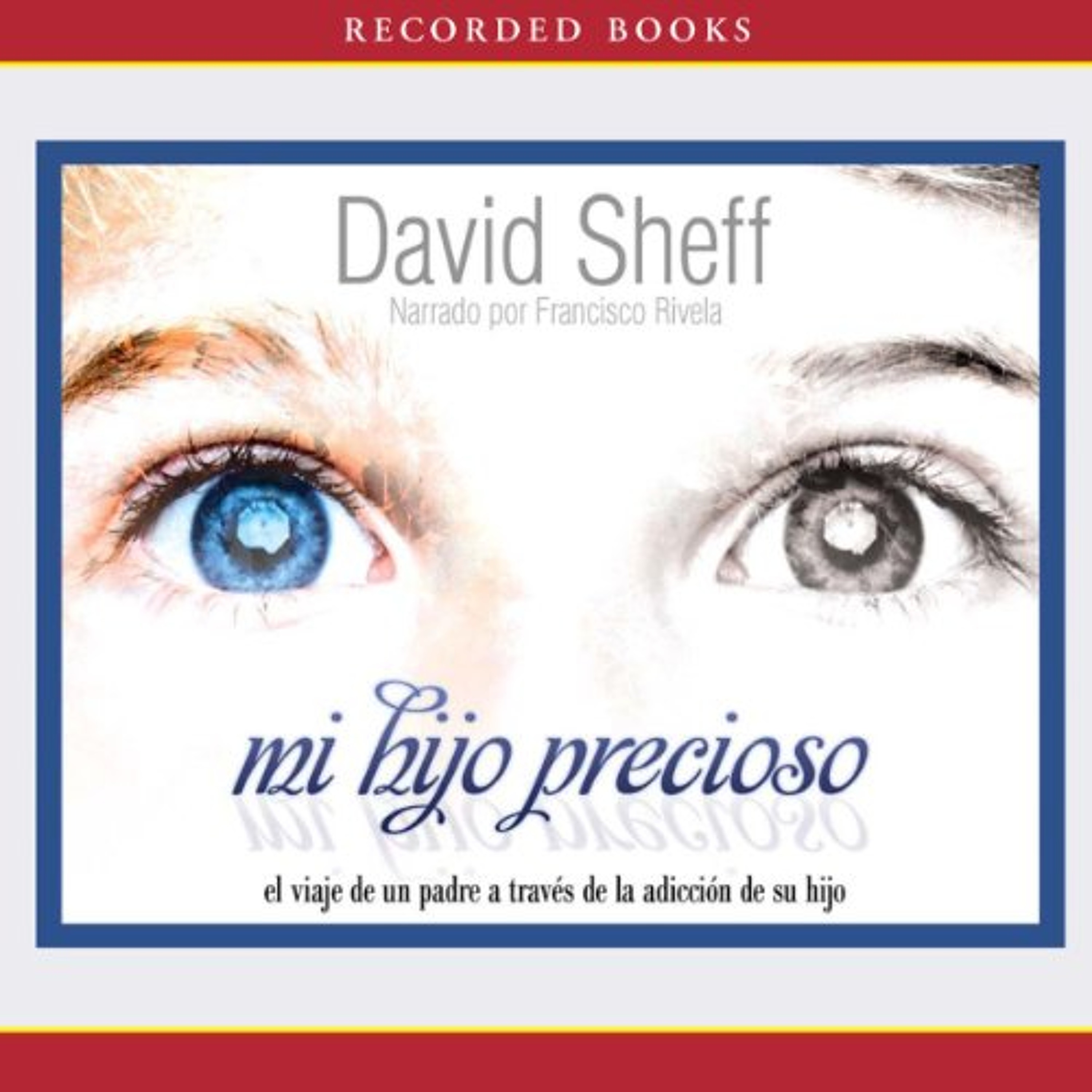 Mi hijo precioso [Beautiful Boy] (Audiolibro) | Prueba Gratis