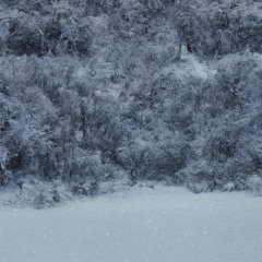powder runner