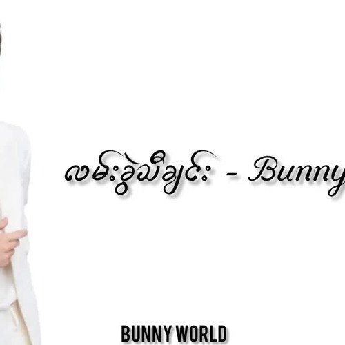 လမ်းခွဲသီချင်း - Bunny Phyoe