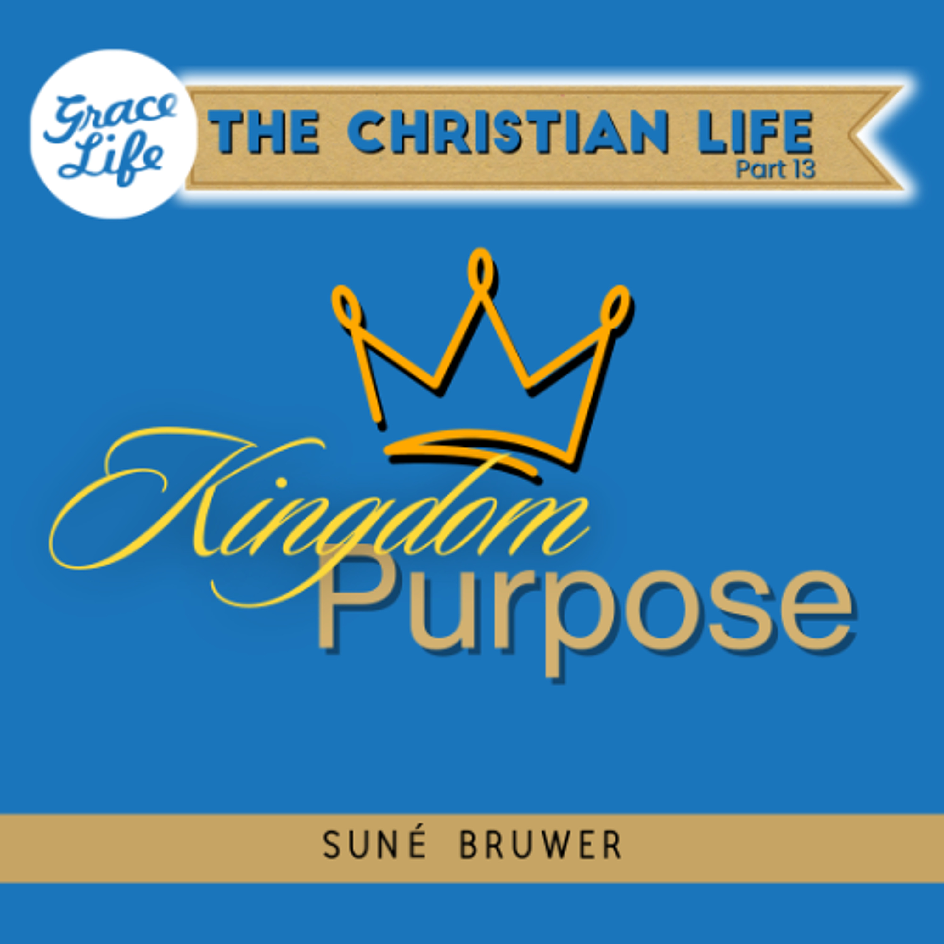 The Christian Life - Part 13 - Kingdom Purpose - Suné Bruwer (Rondebosch) episode artwork
