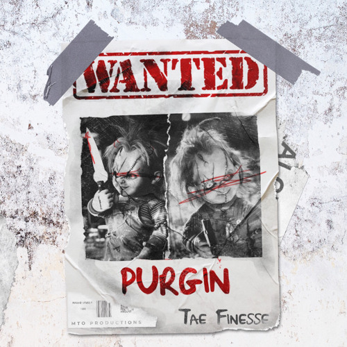 TAE FINESSE - PURGIN PT.1 (Official Audio)