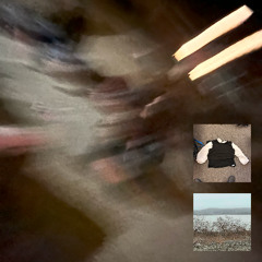 let me, live @ root cellar, march 28th