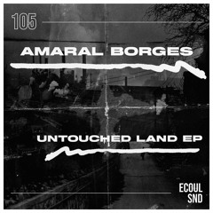 Amaral Borges - The Forest (Preview)