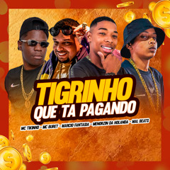Tigrinho Que Tá Pagando (feat. Mc Tikinho, Guatto & Mal Beats)