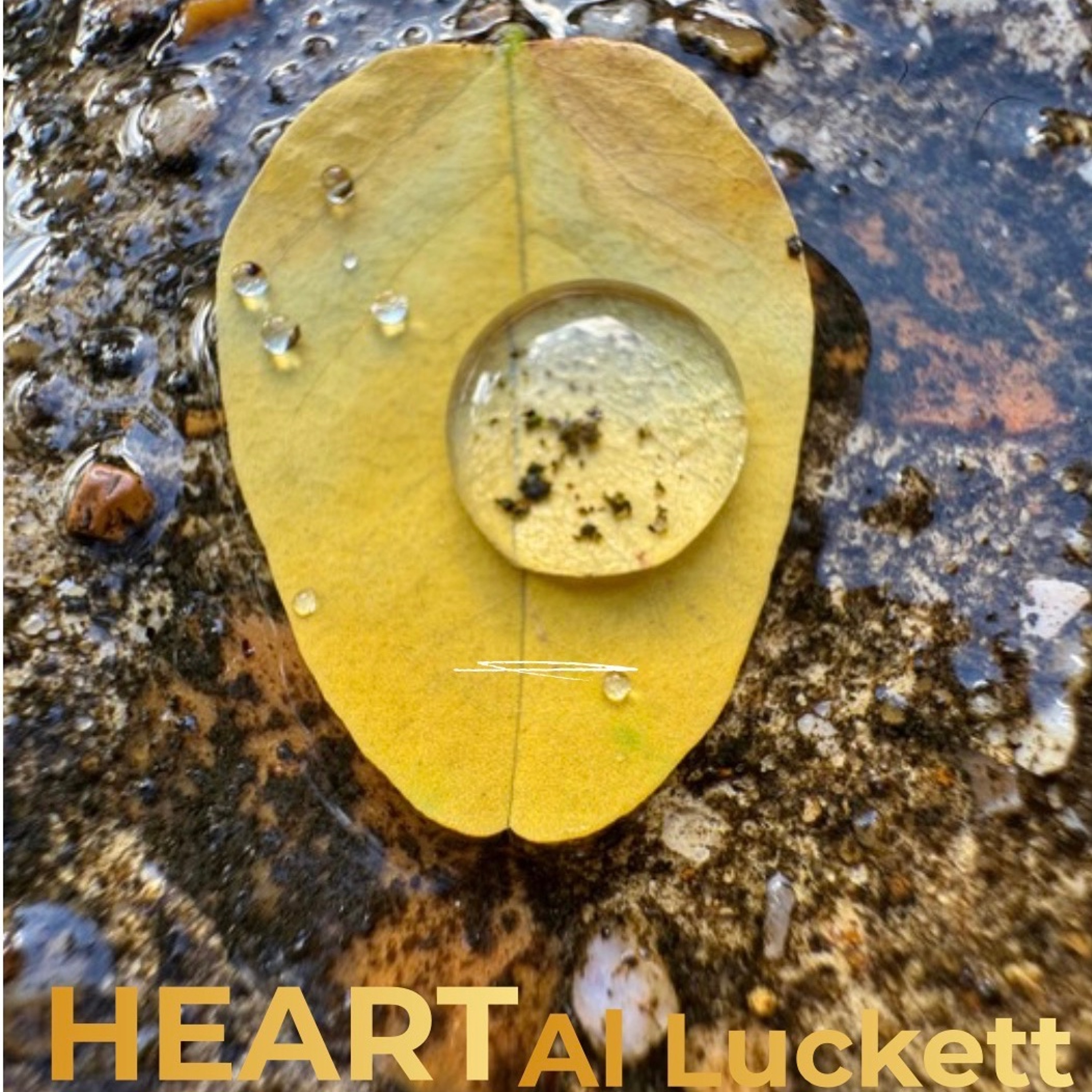 Heart 2026 episode artwork