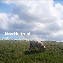 New Horizont