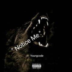 Notice Me - Youngcode