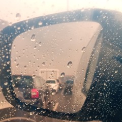 Blackbird - Rainy dots