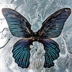 Crush feat. Erika de Casier