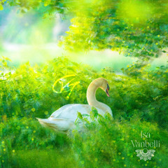 Swan