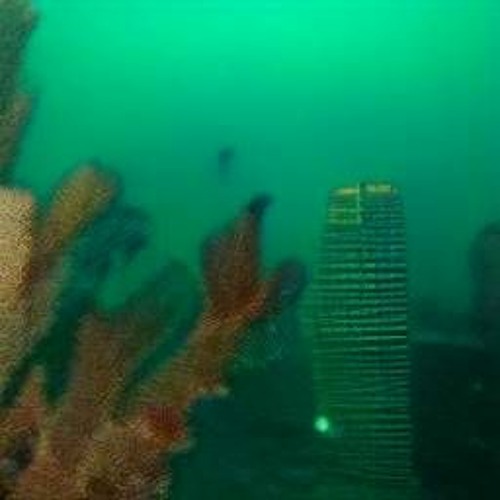 Stream Los Angeles Underwater In The Year 5000 by 0 Listen