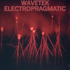 Electropragmatic