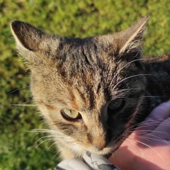 ROBBIE ELECKT - 2024FAVSMIXTAPE