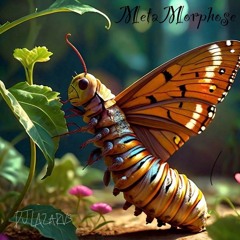 MetaMorphose