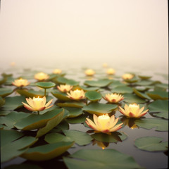 Meditative Indian Raga