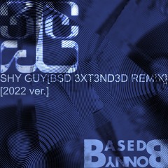 Tinashe - Shy Guy [BSD 3XT3ND3D Remix]  [2022 ver.]