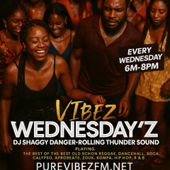 VIBEZ WEDNSDAYZ REBROADCAST-PUREVIBEZFM.NET - DJ SHAGGY DANGER - ROLLING THUNDER SOUND