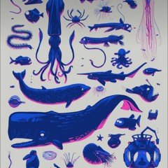 Henzel - Tedros, Summer Set (Puebla)