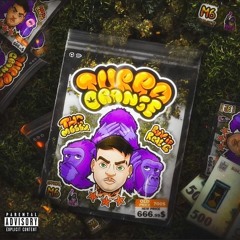 MGK666 x Nutu - MET GALA(snippet)